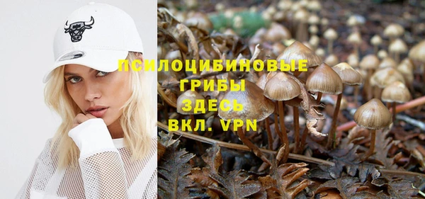 jwh Богданович
