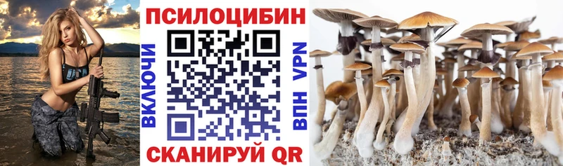 Псилоцибиновые грибы Psilocybe  где продают наркотики  Дубовка 